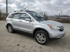 2010 Honda CR-V EXL