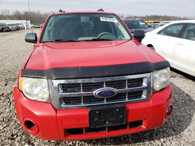 2009 Ford Escape XLT