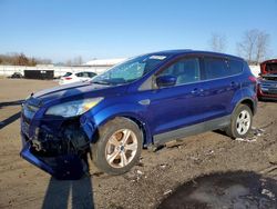 Salvage cars for sale from Copart Columbia Station, OH: 2013 Ford Escape SE