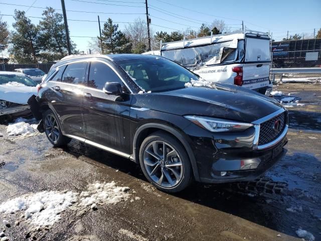 2021 Infiniti QX50 Sensory