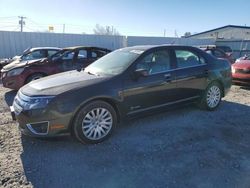 Ford Fusion Hybrid salvage cars for sale: 2010 Ford Fusion Hybrid