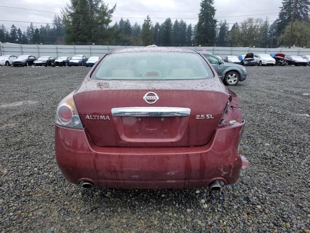 2010 Nissan Altima Base