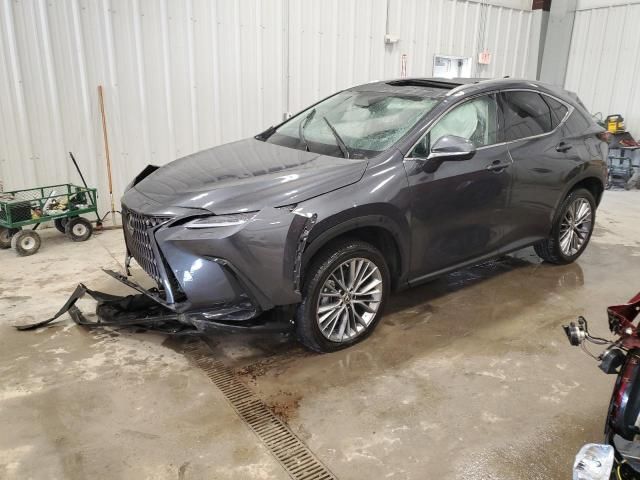 2023 Lexus NX 350