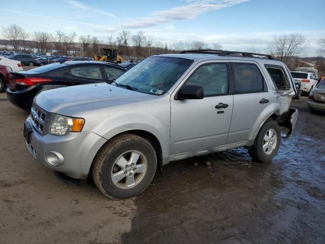 2009 Ford Escape XLT