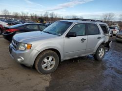 2009 Ford Escape XLT for sale in Marlboro, NY