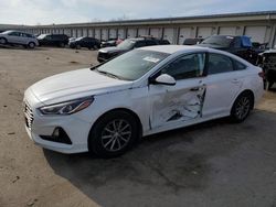 Salvage cars for sale at Louisville, KY auction: 2018 Hyundai Sonata SE