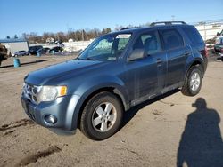 Salvage cars for sale at Pennsburg, PA auction: 2010 Ford Escape XLT