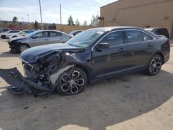 Ford Taurus SHO salvage cars for sale: 2015 Ford Taurus SHO