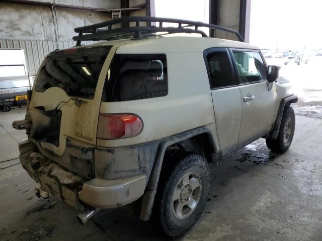 2010 Toyota FJ Cruiser