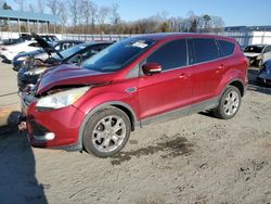 Ford Escape SEL salvage cars for sale: 2013 Ford Escape SEL