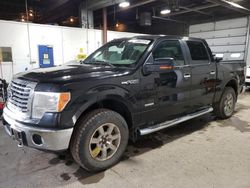 Salvage cars for sale from Copart Blaine, MN: 2012 Ford F150 Supercrew