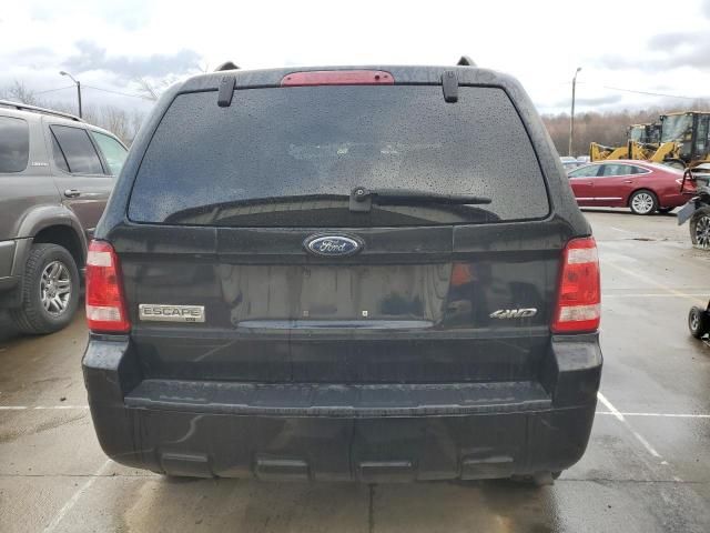 2009 Ford Escape XLT