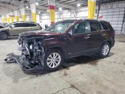 Salvage cars for sale from Copart Woodburn, OR: 2014 KIA Sorento EX