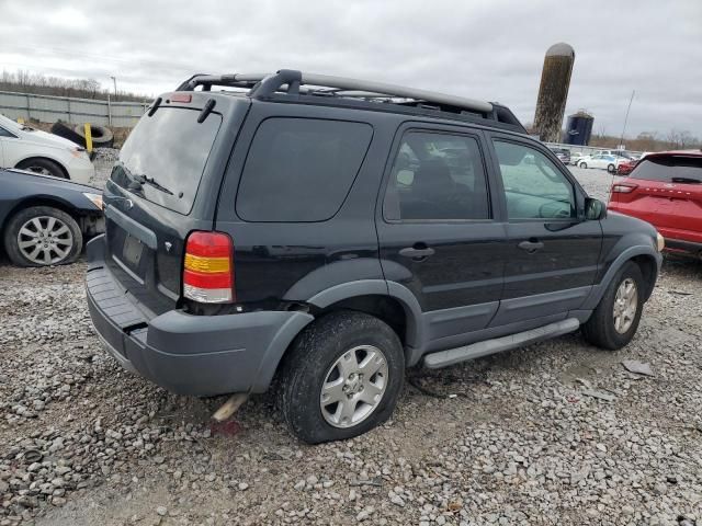 2014 Ford Escape XLT