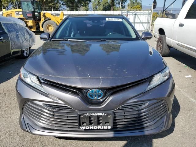 2020 Toyota Camry XLE