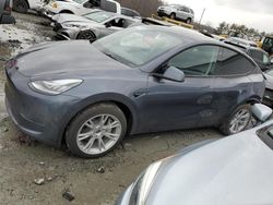 Vehiculos salvage en venta de Copart Windsor, NJ: 2023 Tesla Model Y