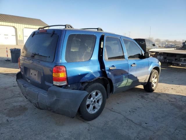 2007 Ford Escape XLT