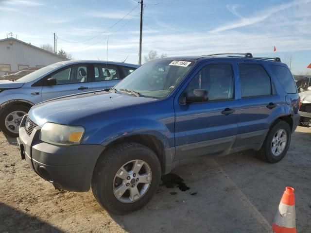 2007 Ford Escape XLT