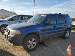 Salvage cars for sale at Pekin, IL auction: 2007 Ford Escape XLT