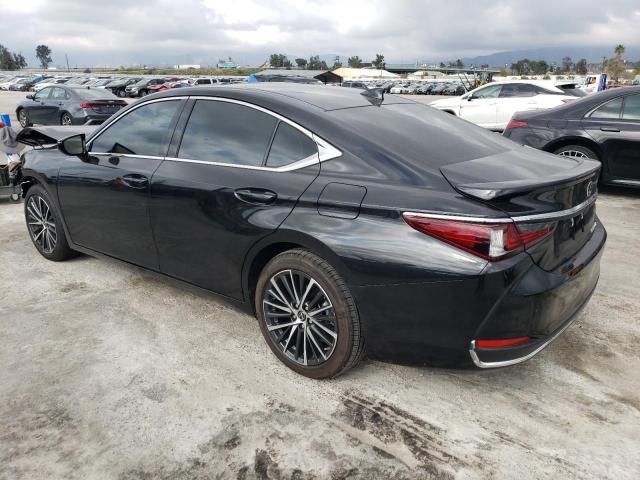 2024 Lexus ES 300H Base