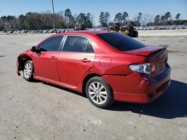 2010 Toyota Corolla Base