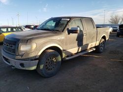 Salvage cars for sale from Copart Greenwood, NE: 2013 Ford F150 Supercrew