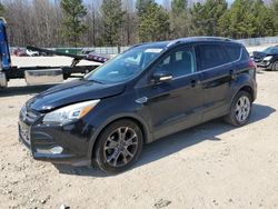 Salvage cars for sale at Gainesville, GA auction: 2016 Ford Escape Titanium