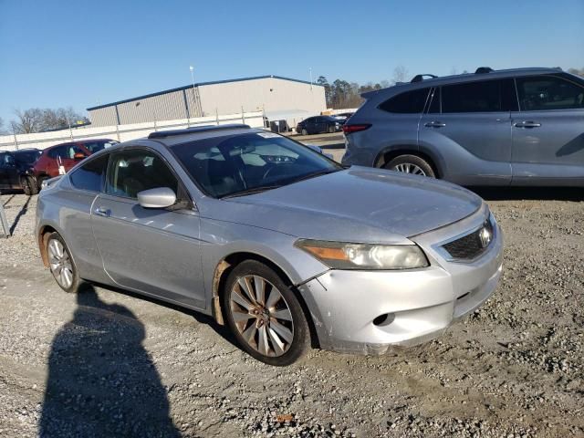 2009 Honda Accord EXL