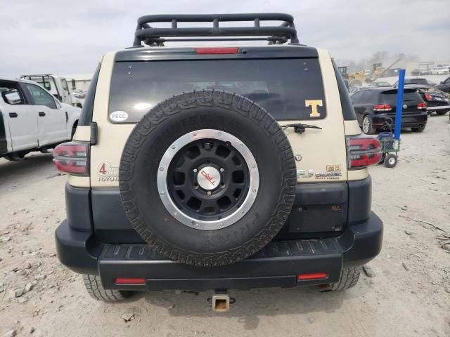 2010 Toyota FJ Cruiser