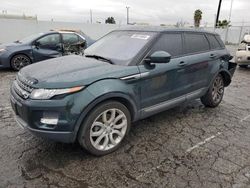 Land Rover Range Rover salvage cars for sale: 2014 Land Rover Range Rover Evoque Pure Premium