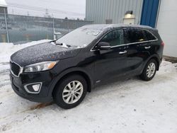 KIA Sorento lx salvage cars for sale: 2017 KIA Sorento LX