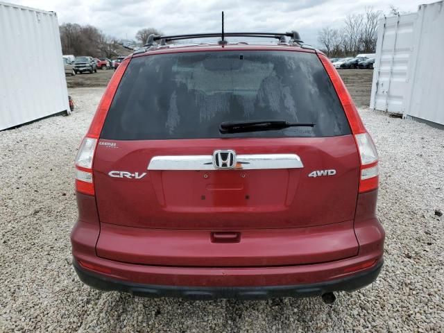 2010 Honda CR-V EXL