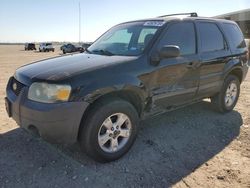 Salvage cars for sale at Houston, TX auction: 2005 Ford Escape XLT