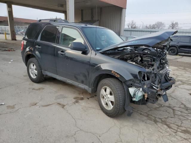 2012 Ford Escape XLT