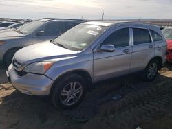 Salvage cars for sale from Copart Albuquerque, NM: 2010 Honda CR-V EXL