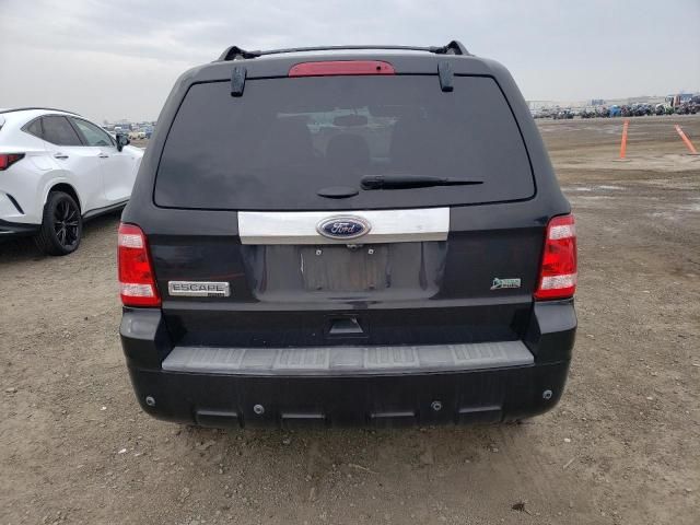 2011 Ford Escape Limited