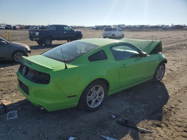 2013 Ford Mustang