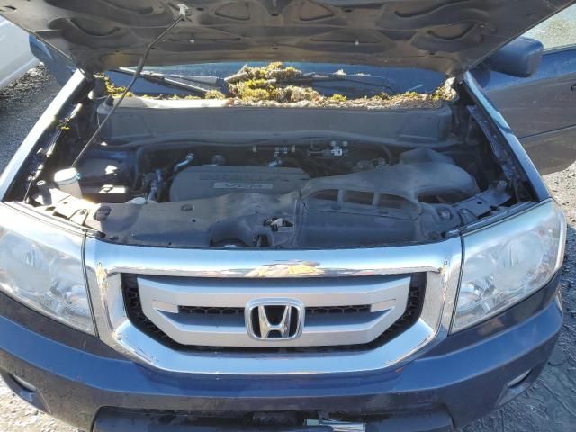 2009 Honda Pilot EXL