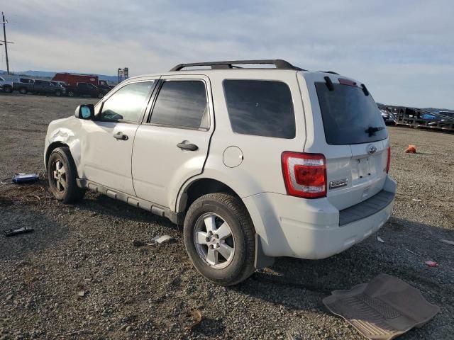 2010 Ford Escape XLS