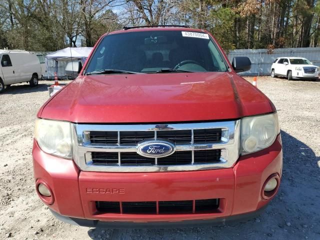 2011 Ford Escape XLT