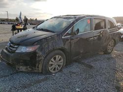Salvage cars for sale at Mentone, CA auction: 2015 Honda Odyssey EXL