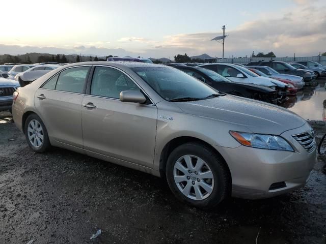 2007 Toyota Camry Hybrid