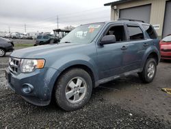 Ford Escape XLT salvage cars for sale: 2012 Ford Escape XLT