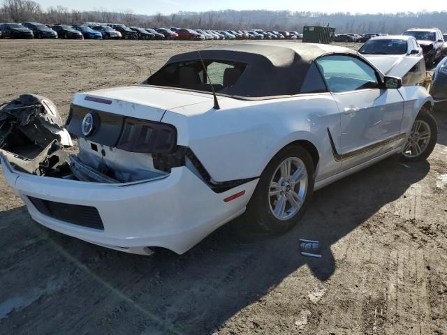 2013 Ford Mustang