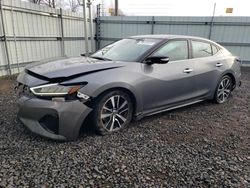 Nissan salvage cars for sale: 2023 Nissan Maxima SV