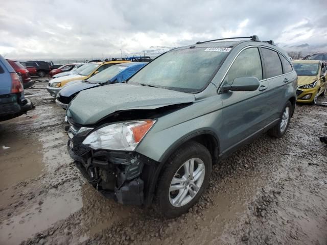 2010 Honda CR-V EXL