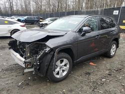 Toyota Rav4 salvage cars for sale: 2021 Toyota Rav4 XLE