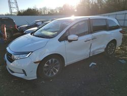 Salvage cars for sale at Windsor, NJ auction: 2021 Honda Odyssey EXL