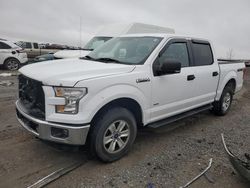 Salvage cars for sale at Earlington, KY auction: 2016 Ford F150 Supercrew