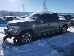 Salvage cars for sale from Copart Littleton, CO: 2023 Ford F150 Supercrew